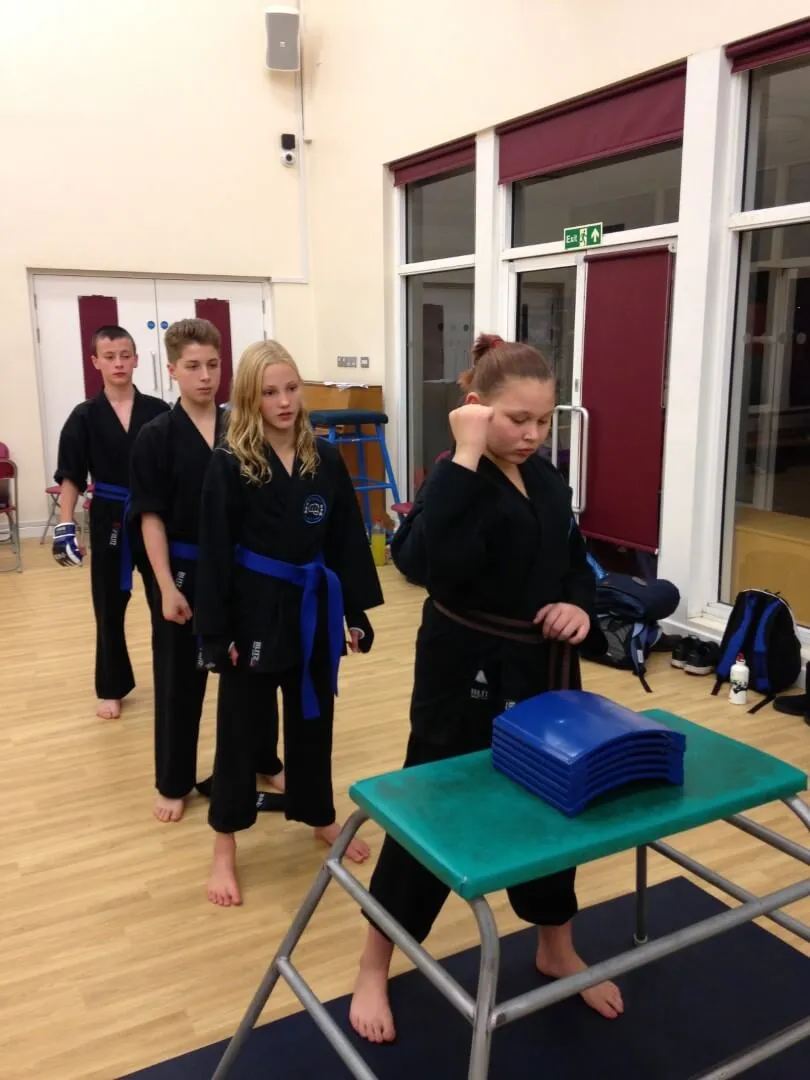 https://www.shuhari.co.uk/_app/immutable/assets/Anti_bullying_traininf_for_kids_in_Maidenehad.c4adeae2.webp
