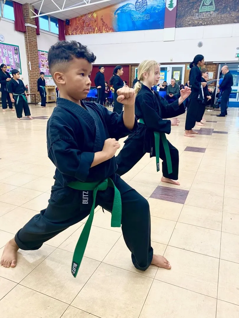 https://www.shuhari.co.uk/_app/immutable/assets/Childrens_martial_arts_classes_in_Maidenhead.d698927c.webp