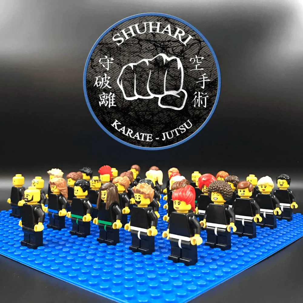 https://www.shuhari.co.uk/_app/immutable/assets/Parent_and_child_martial_arts_classes_in_Maidenhead.a33da998.webp
