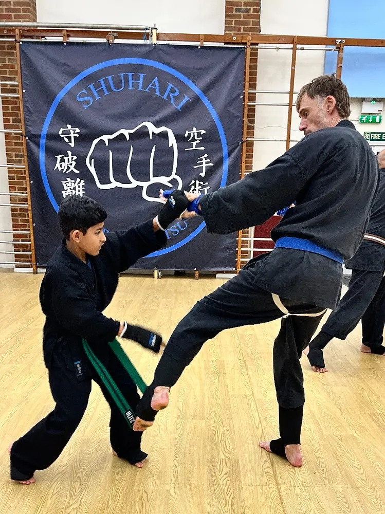 https://www.shuhari.co.uk/_app/immutable/assets/gsdgfsdf.098fe75d.webp