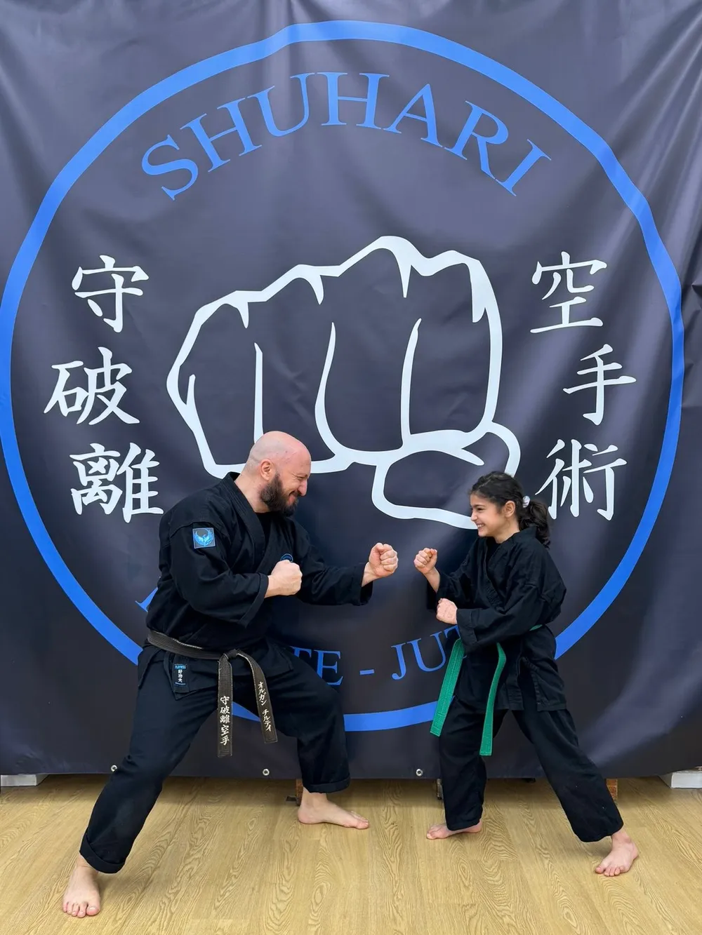 https://www.shuhari.co.uk/_app/immutable/assets/zzz.88da623e.webp