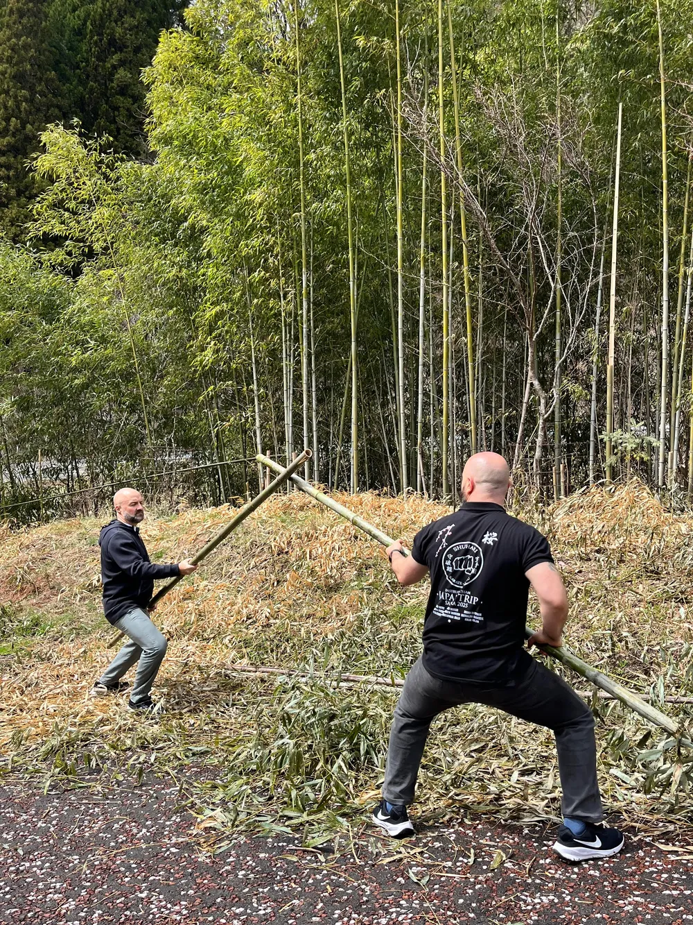 https://www.shuhari.co.uk/_app/immutable/assets/zzzzzzzzzzz.06669168.webp